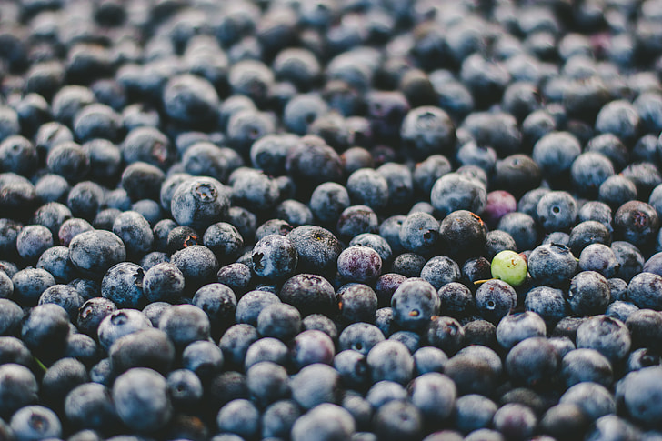 close up photography of blueberries