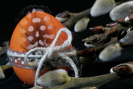 orange, gray, and brown eastern egg with peacock feather display