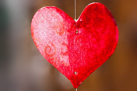 closeup photo or heart-shaped red decor