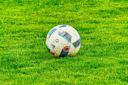 soccer ball on grass field