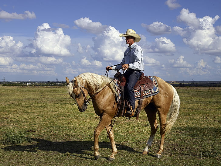 man riding a brown horse on a green field