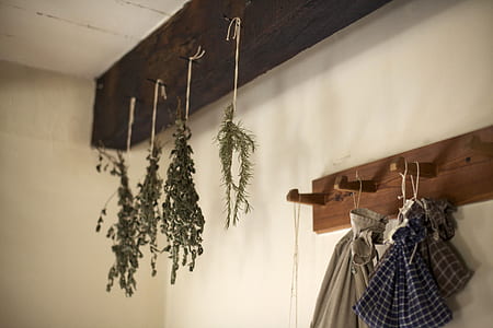 green leaf hanging on brown and black wall hooks inside room