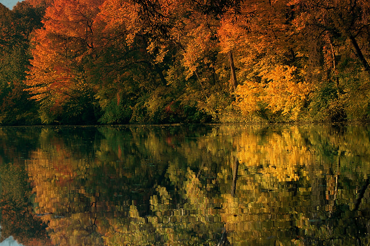 autumn leaf trees reflecting body of water