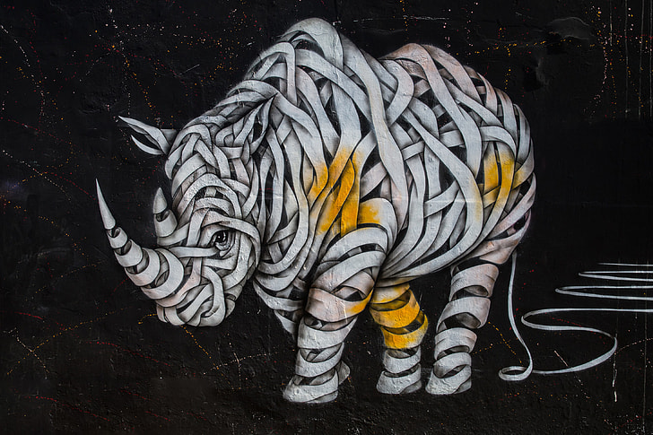 Street art rhino captured on a wall with a Canon 6D DSLR