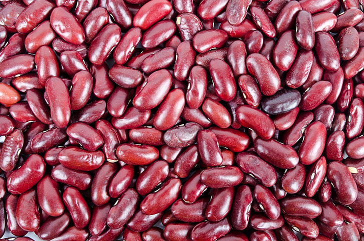 brown bean lot