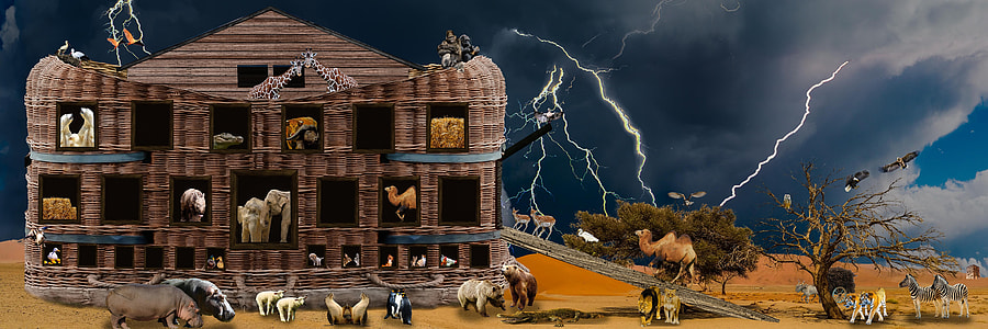 close-up photography of Noah's ark