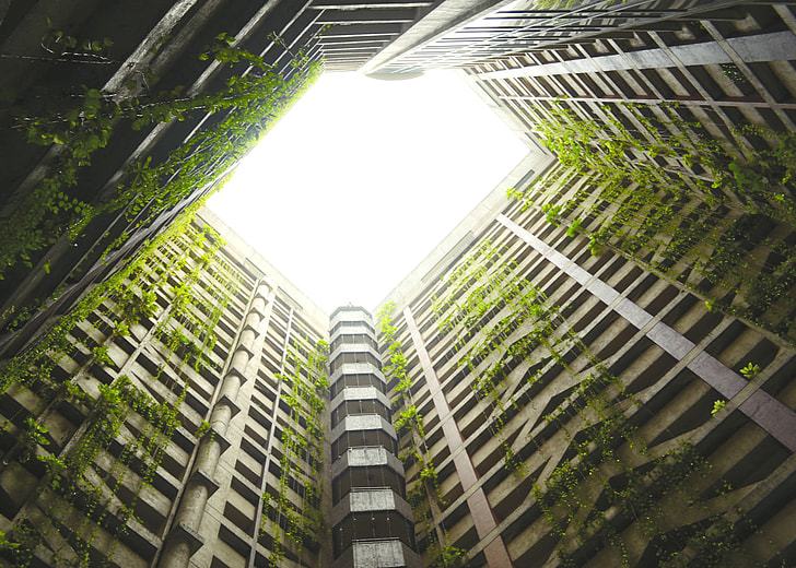 low angle photography of building with green plants