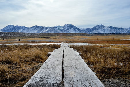 wooden dock surrounded with brown field near mountains