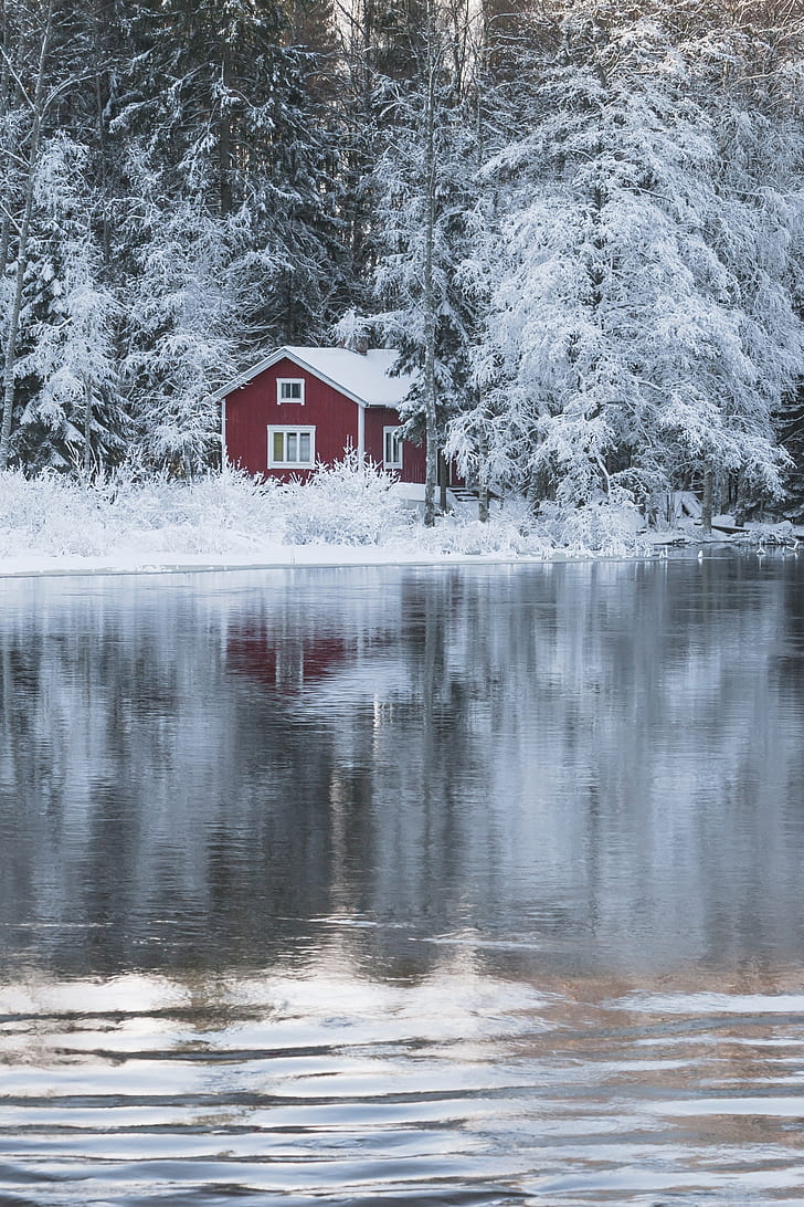red and white wooden house near the lake