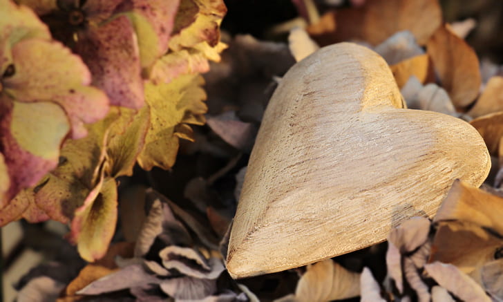 carved heart on dried leaves