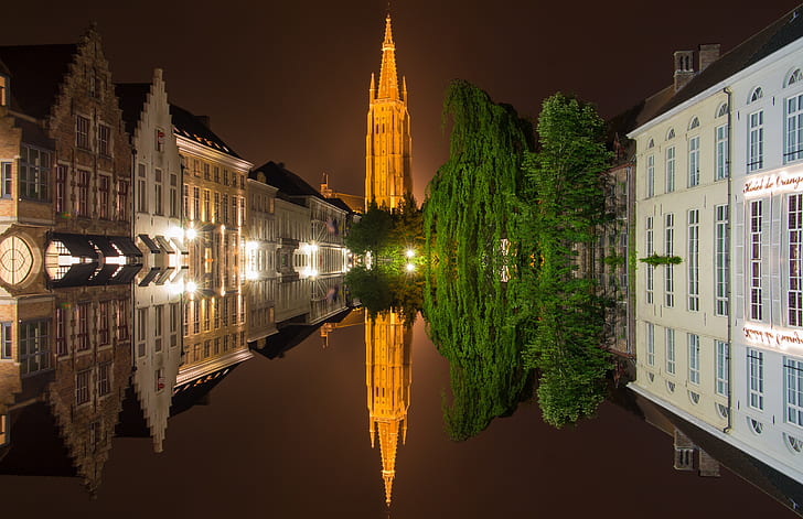 buildings and green tree reflecting on water at night