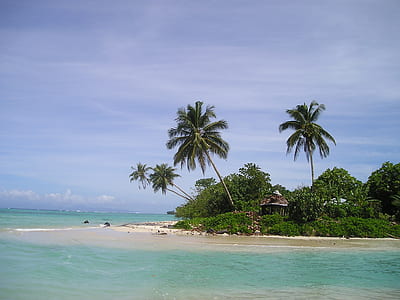 photo of island with houses