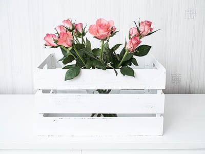 pink rose flower bouquet in white wooden crate
