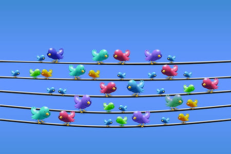 flock of bird standing in black wire graphic illustration