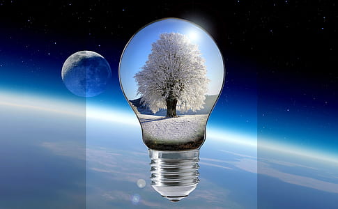 light bulb with tree illustration