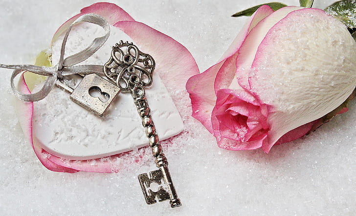 pink rose and gray skeleton key