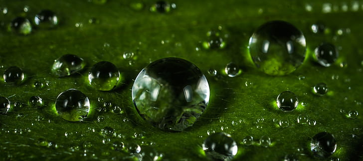 micro photo of dew drops on leaf