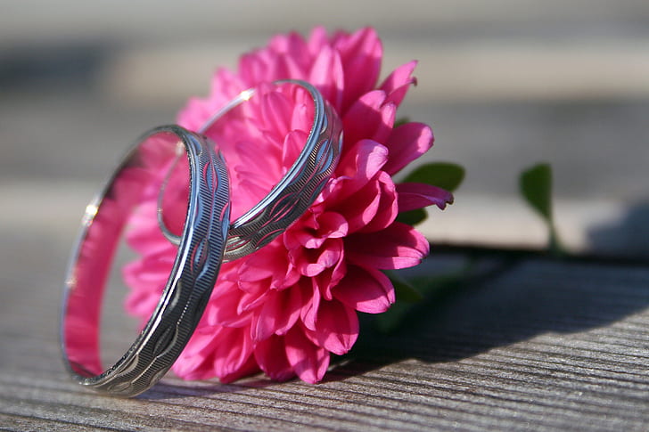 pair of silver-colored wedding band and pink chrysanthemum flower