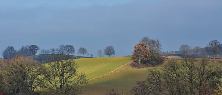 landscape photo of hill with trees