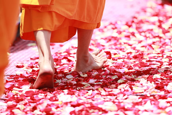 person stepping on red flower petals