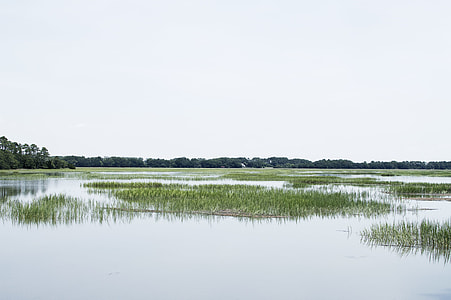 flooded field photo