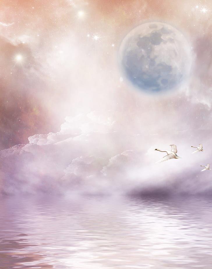 background, stationery, guestbook, sky, moon, swans