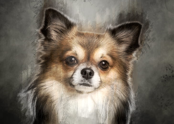 tan dog painting