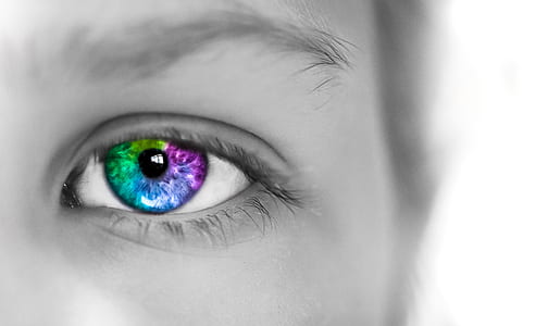 selective color photography of green, purple, and pink eye