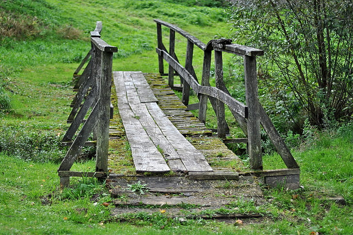 gray wooden bridge covered with moss during daytime
