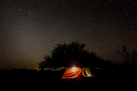 silhouette of person inside red and brown dome tent near tree with stars during night