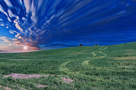green field under blue sky photo