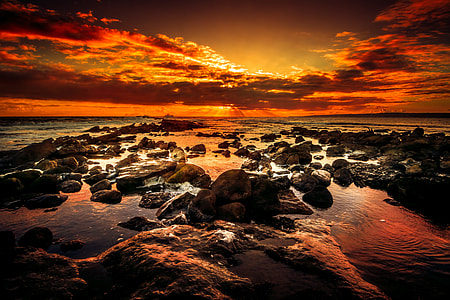 photography of seashore during sunset