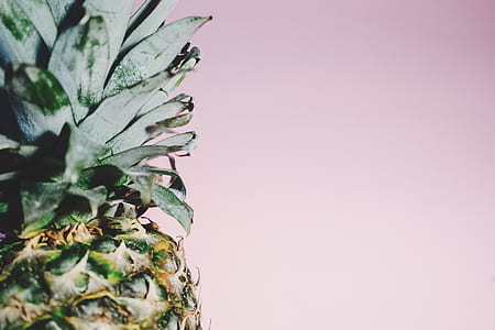 pineapple side view photography