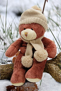 brown bear plush toy on tree branch