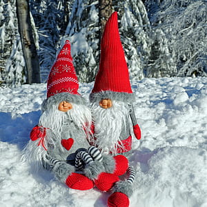 two red-and-gray elves on snow covered ground during day