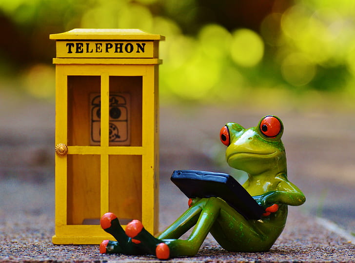 red eyed tree frog sitting using smartphone near yellow wooden telephon booth