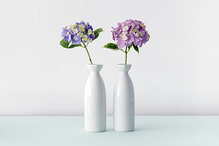 two purple and white flowers in vases