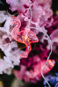 Flamingo light garland & pink flowers