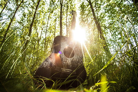 acoustic guitar, musical instrument, guitar, music, chords, grass