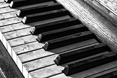 piano keys grayscale photo
