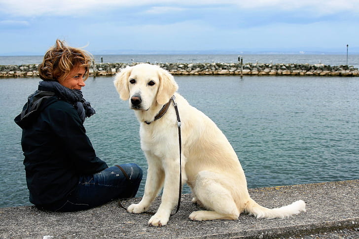woman sitting on sea dock beside leashed dogf