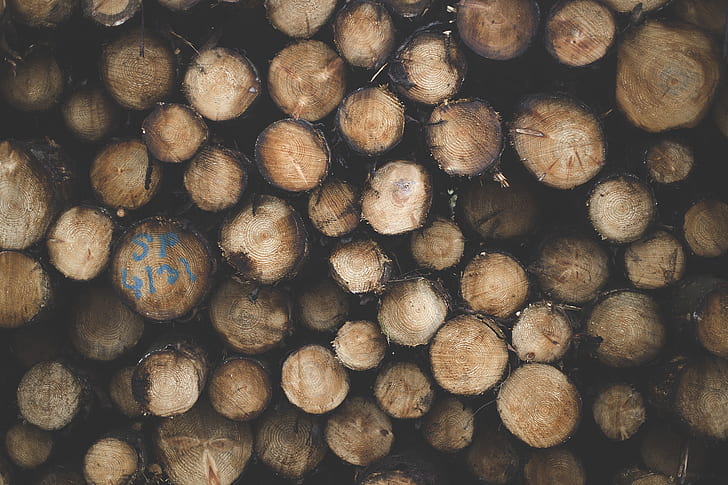 Shallow Focus Photography of Brown Tree Logs
