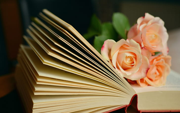 three pink Rose flowers on book