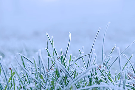 snow covered grass field during daytime