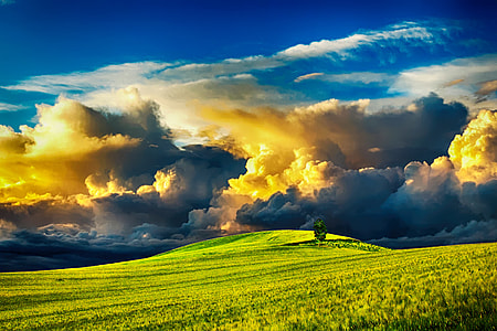 photography of grass field with clouds as background