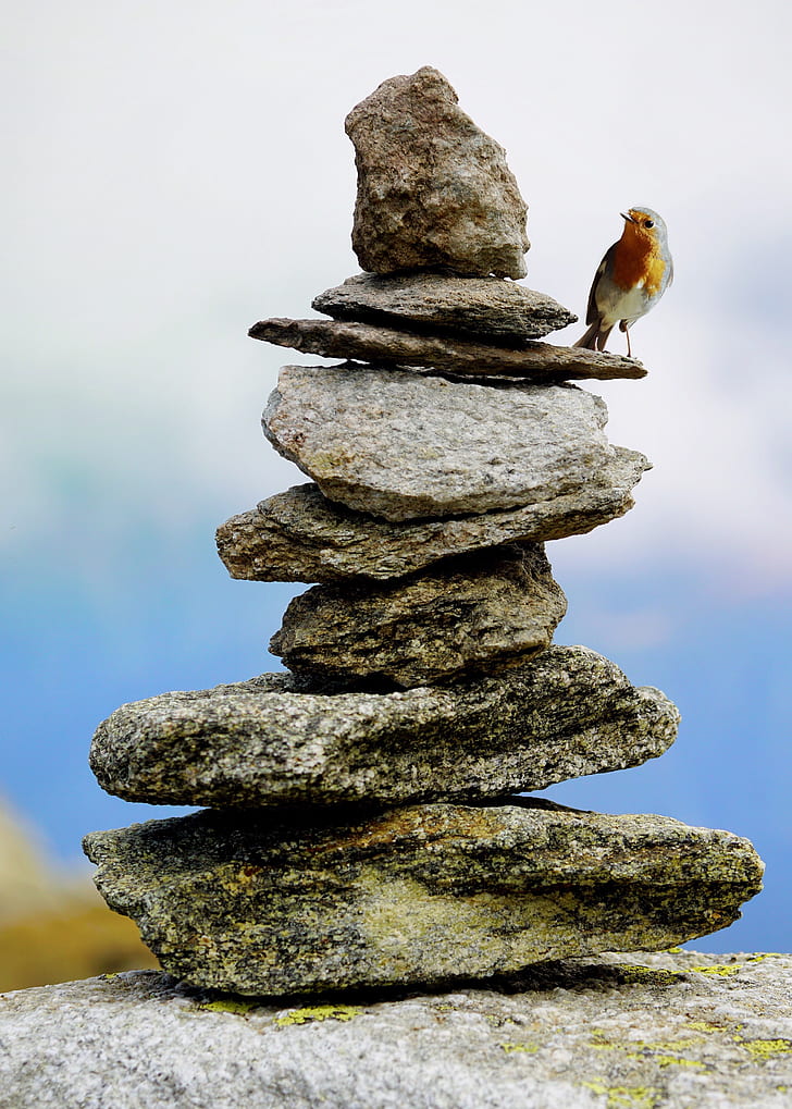 cairn-stones-stone-on-stone-hiking-previ
