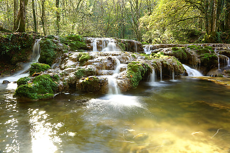 photo of waterfalls and green leaf trees