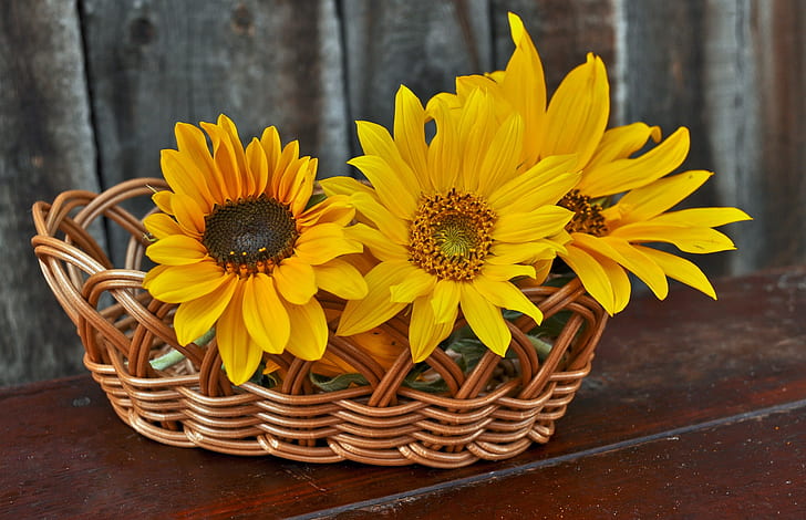 yellow sunflowers on brown wicker basket