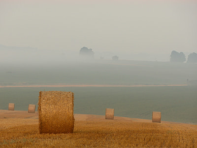landscape photography of hay on brown grass field during day time