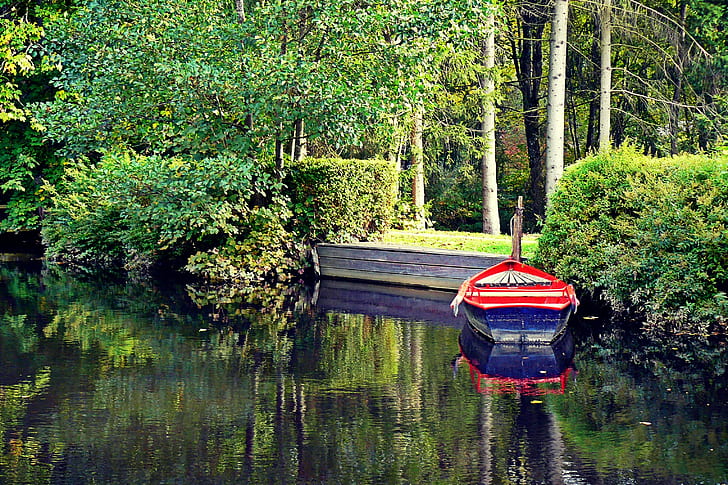 red and blue row boat beside green trees on lake